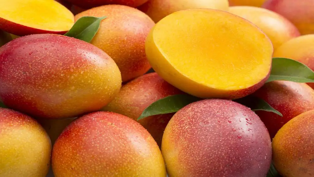 all industries  agriculture  fruit  fresh fruit  fresh mangos