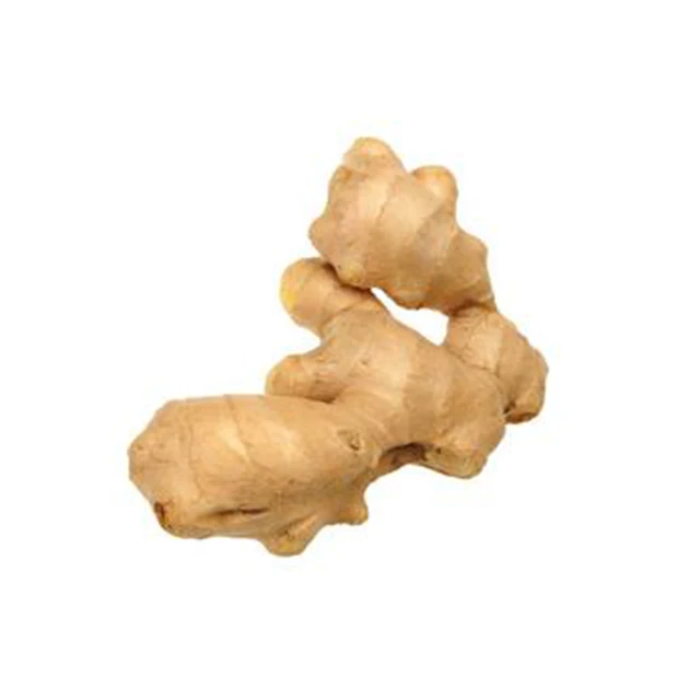 2021 Fresh Ginger Buyer Dried Ginger Indonesian From Ginger Supplier Buy Spicy Mature Ginger 6922