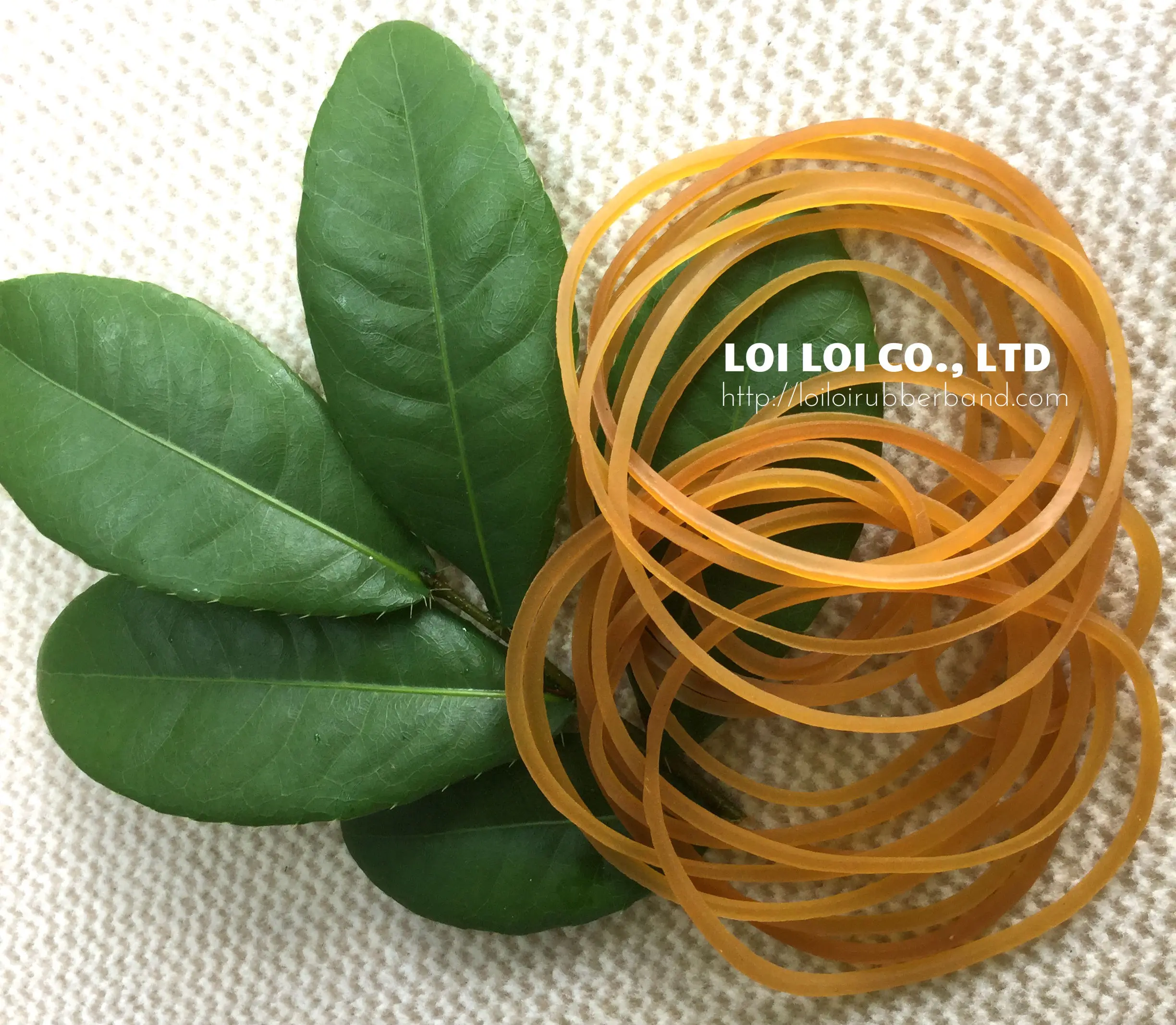 Transparent Rubber Bands To Tie Vegetable And Flower Crepe Natural