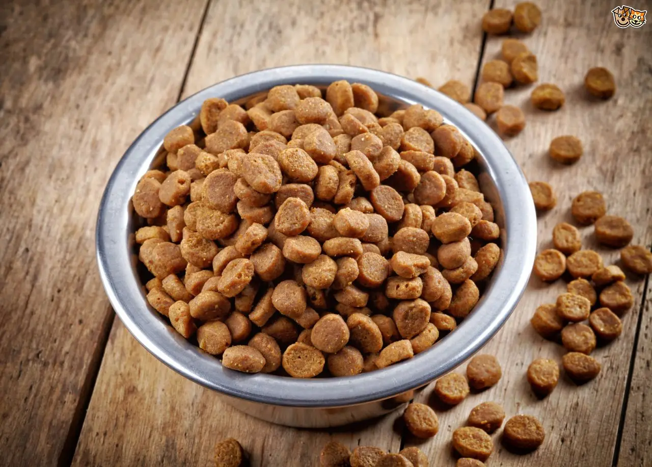 animal pet dog food fish feed pellet production line