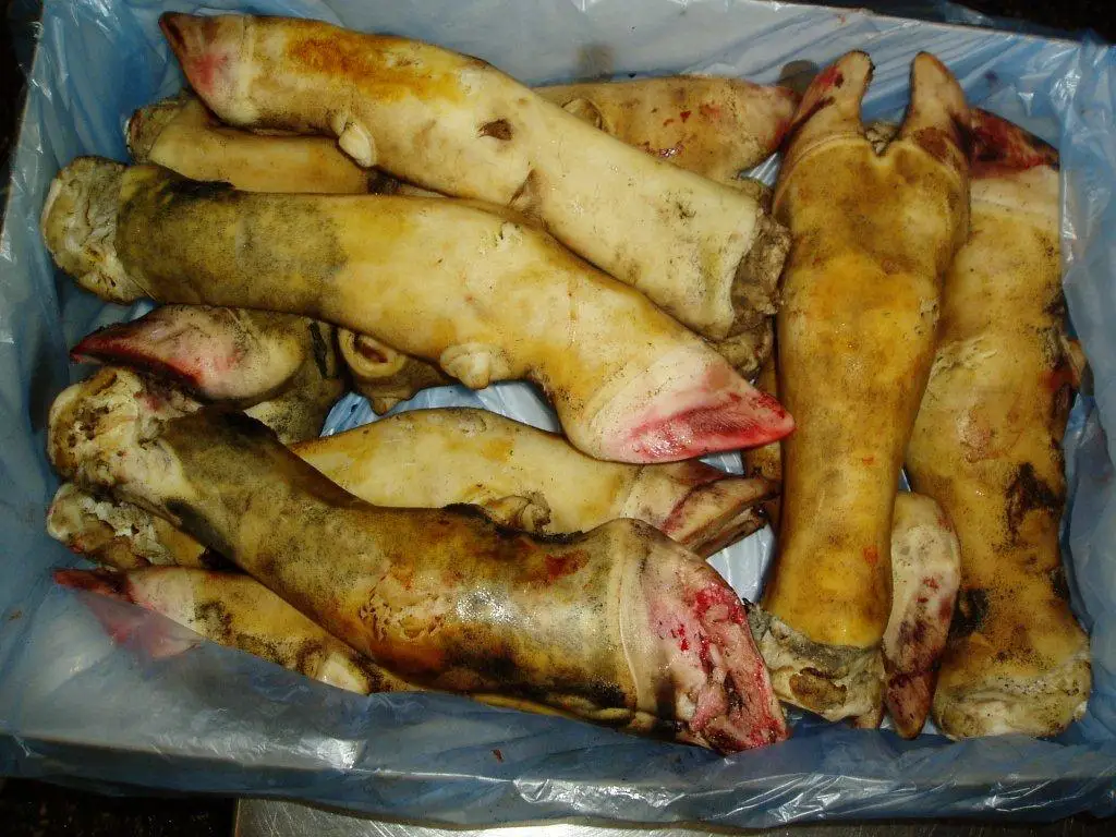 泰国牛脚长,牛脚,冻牛脚长切 - buy beef feet/cow leg/beef meat in
