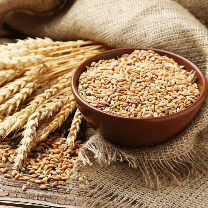 corn gluten / meal wheat bran / rice bran