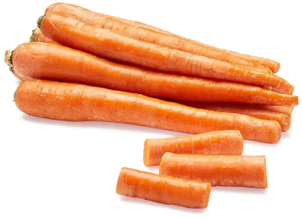 good quality fresh carrot / new crop fresh carrot supplier