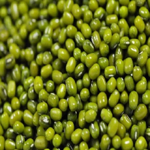 Best Quality Green Mung Beans / Vigna Green Mung Beans