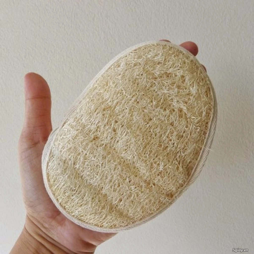 Natural Loofah/ Natural Hotel Disposable Loofah From Viietnam Buy