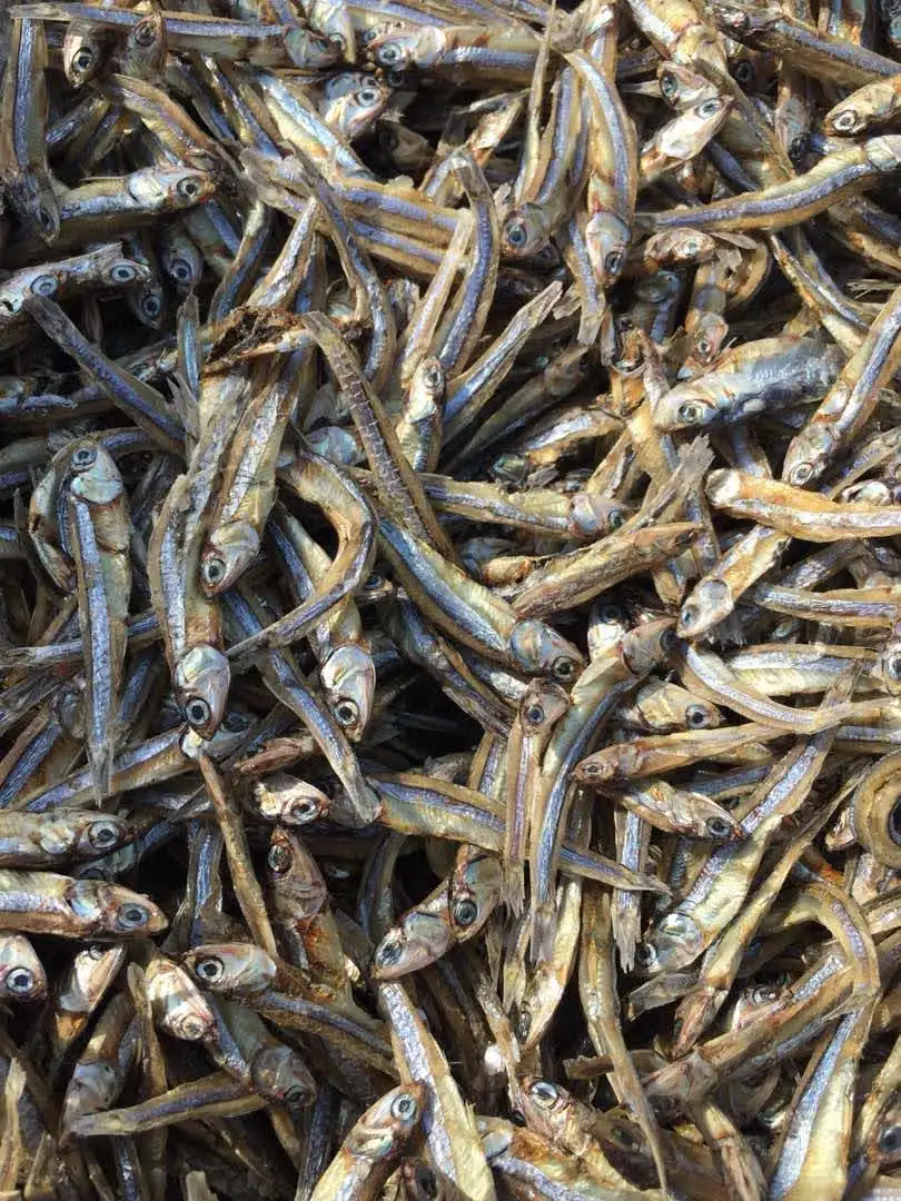 Dried Anchovy Fish/ Dry Anchovy/ High Quality And Good Price Sprats