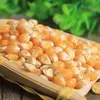 Quality 50 Weight (kg) Yellow Corn/Maize For Animal Feed Grade