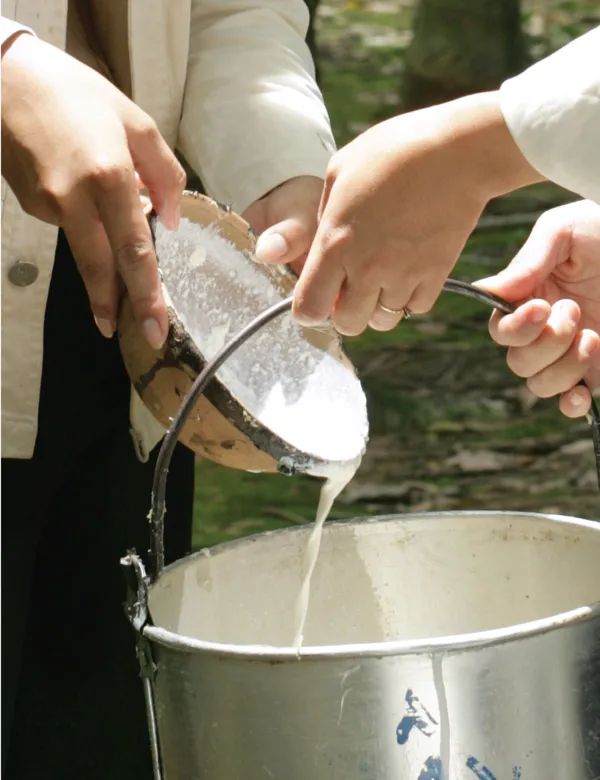 
100% Raw latex rubber for sale at a very cheap price 