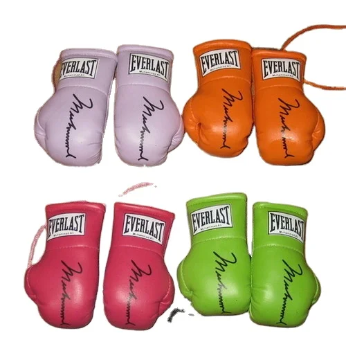 2 x EVERLAST MINI BOXING GLOVES FOR THE REAR VIEW MIRROR OF YOUR CAR,  