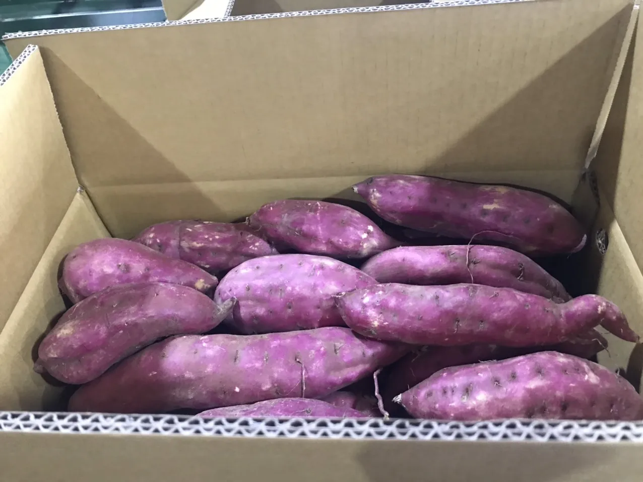 Farms Fresh Sweet Potatoes Vietnamese Purple Sweet Potato 10 Kg 2 Months 15 Cm 1 20`container