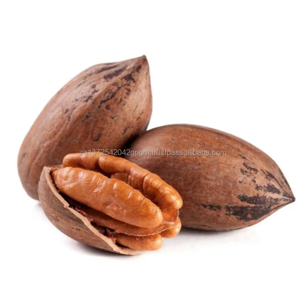 Pecan Nuts12.jpg