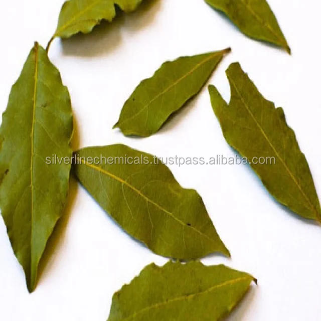 bay leaves.jpg