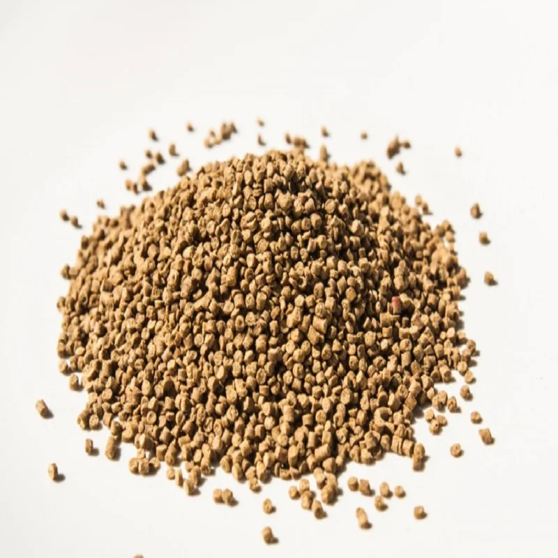Fish meal 2.jpg