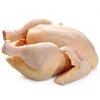 /product-detail/frozen-chicken-exporters-halal-frozen-whole-chicken-frozen-chicken-paws-62012048534.html