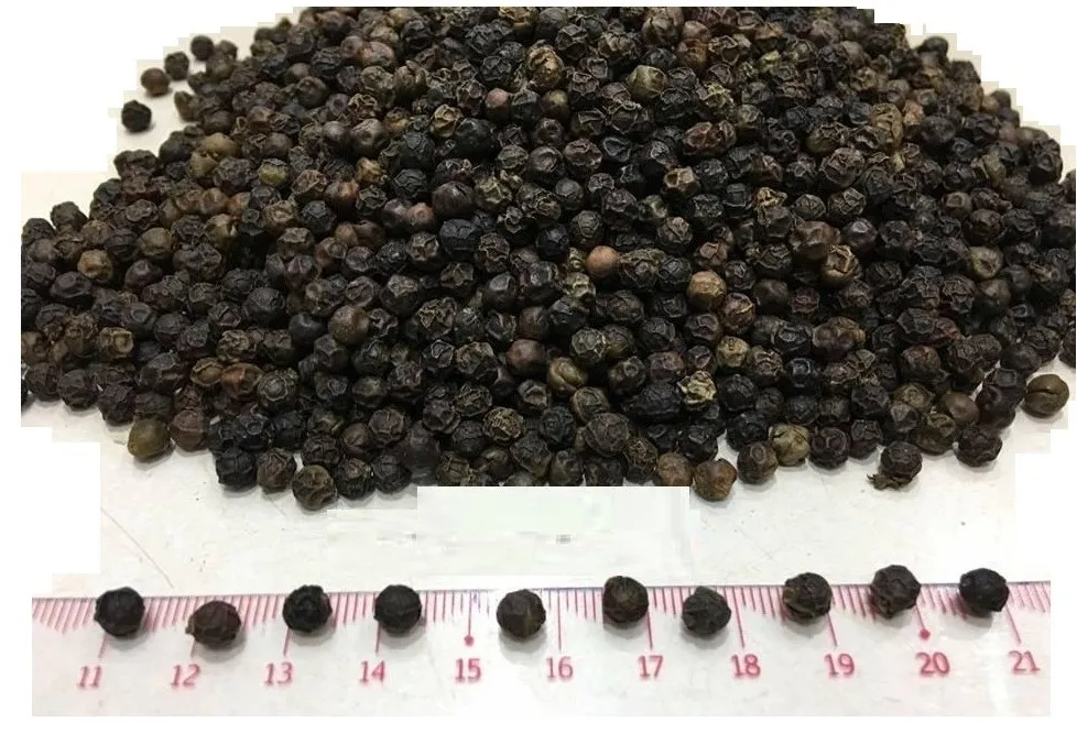 Black Spices Black Pepper Wholesale Bulk Black Pepper Organic Black Pepper 5mm Good Price For
