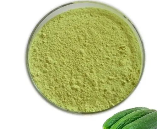 QBG 500g 100/% Pure Cucumber Fruit Powder,Cucumber powder