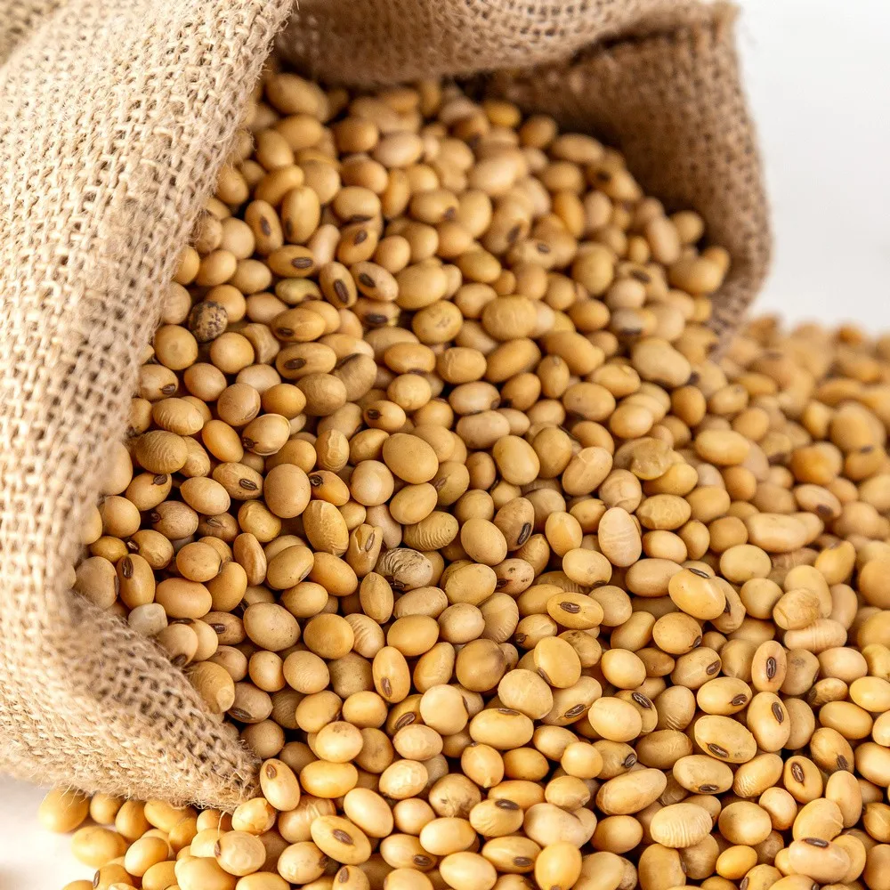 非转基因天然有机俄罗斯批发大豆 - buy soybean seed,soybean meal
