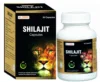 Shilajit / Shilajit 500 mg Herbal Capsules / Ayurvedic Shilajit Caps