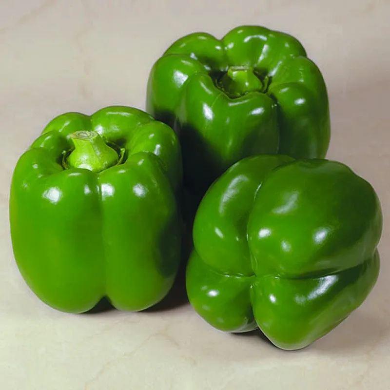 Перец зеленый сладкий. Перец сладкий зеленое чудо. Сорт зеленого перца. Перец зелёный болгарский.