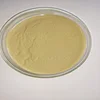 Improved Quality Lactobacillus Reuteri for Digestion Problems at Affordable Price