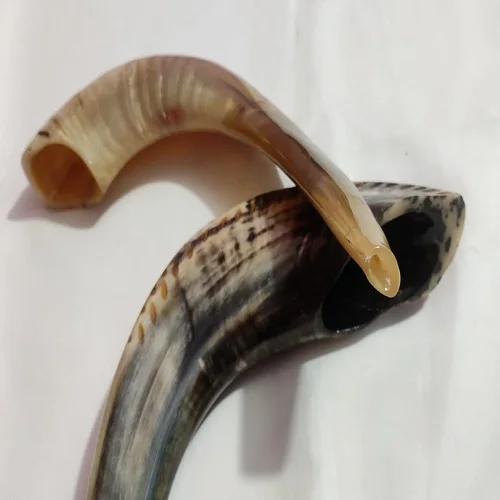 Oferta Venta Ram Cuerno Shofar 8to16 Pulgadas/kudu/pulido Shofar