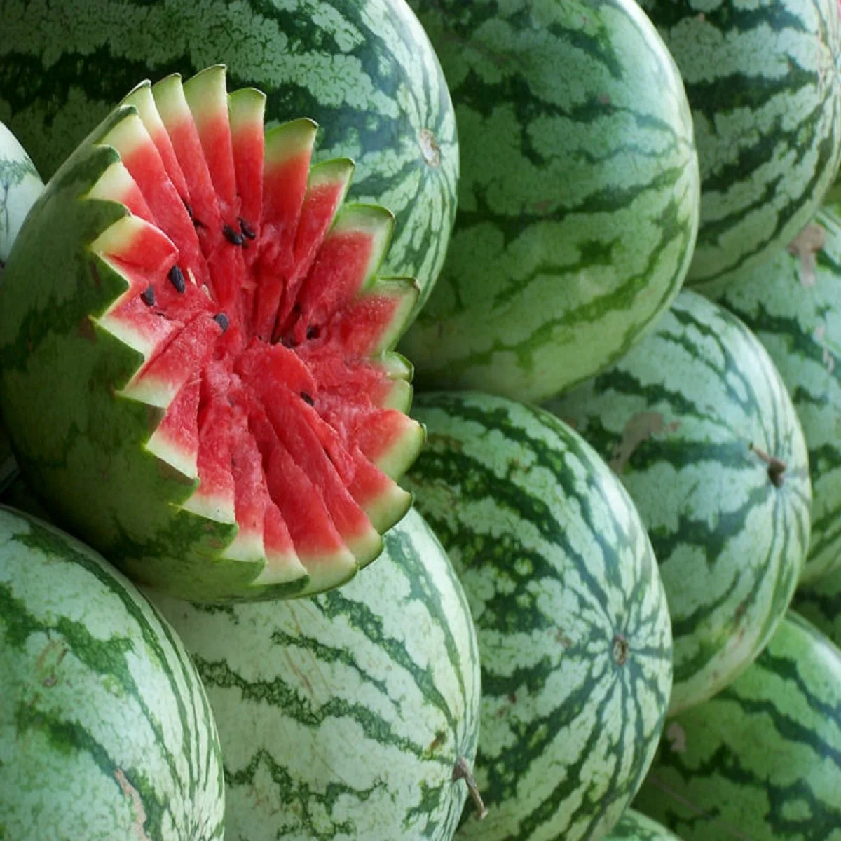 natural royal fresh watermelon fruit for sale fresh water melon