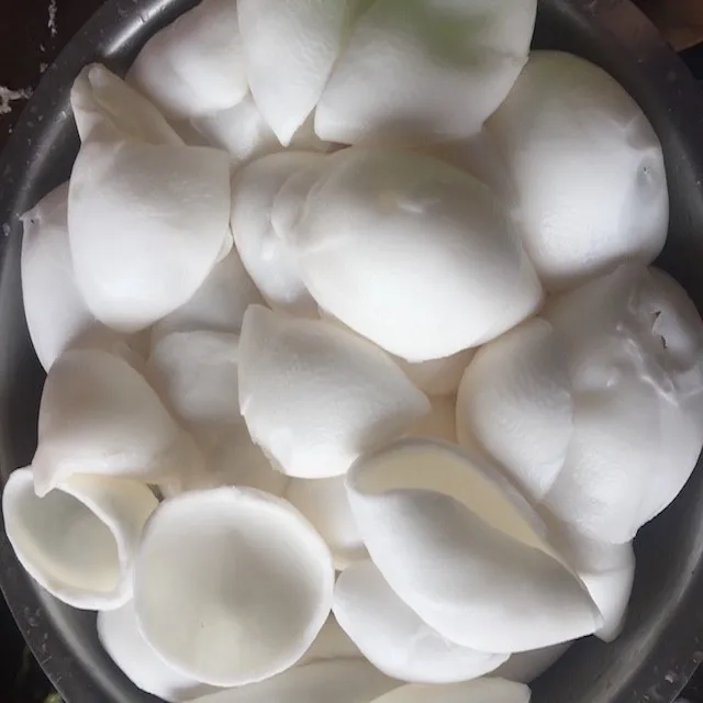 Frozen Young Coconut Meat Best Quality And Price In Vietnam View Coconut Meat Viet Seafarm Product Details From Viet Seafarm Company Limited On Alibaba Com