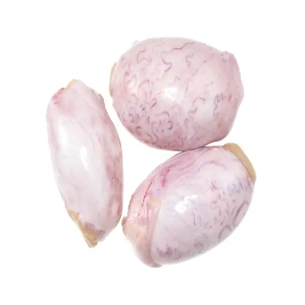 Frozen Beef Testicles From Healthy Cows Buy Buffalo Meat / Frozen