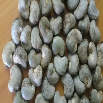 raw cashew nut price in ghana