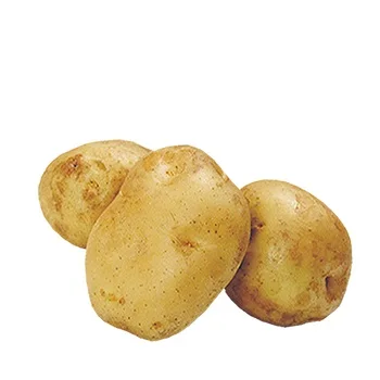 buy irish potatoes for sale/fresh peeled potatoes