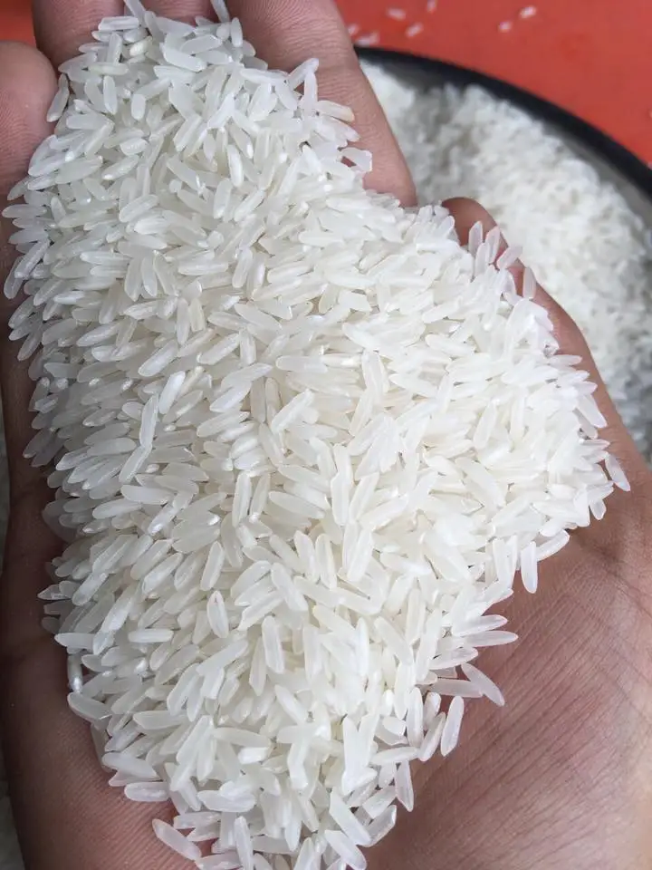 Whole Sales Jasmine Long Grain Rice From Viet Nam Lisa Wa