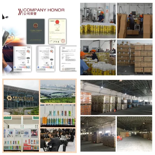 Company Information 002