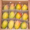 Organic Fresh Mangos Available at wholesale prices