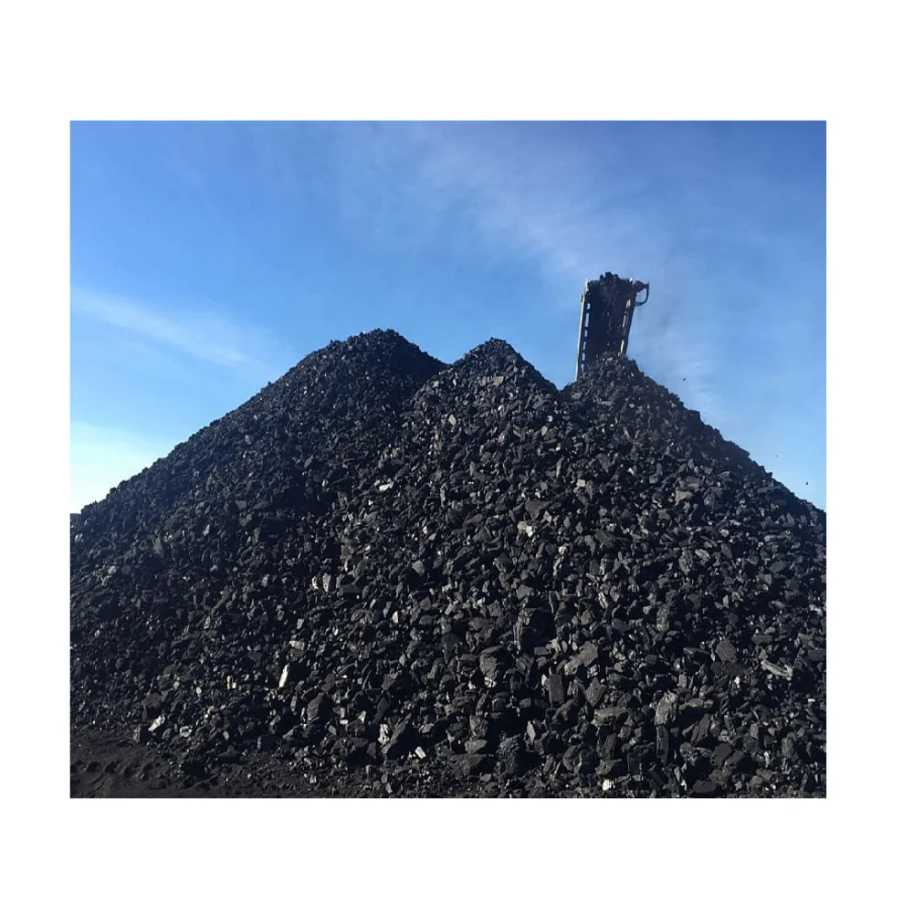 Steam coal это фото 96