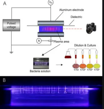 plasma.JPG