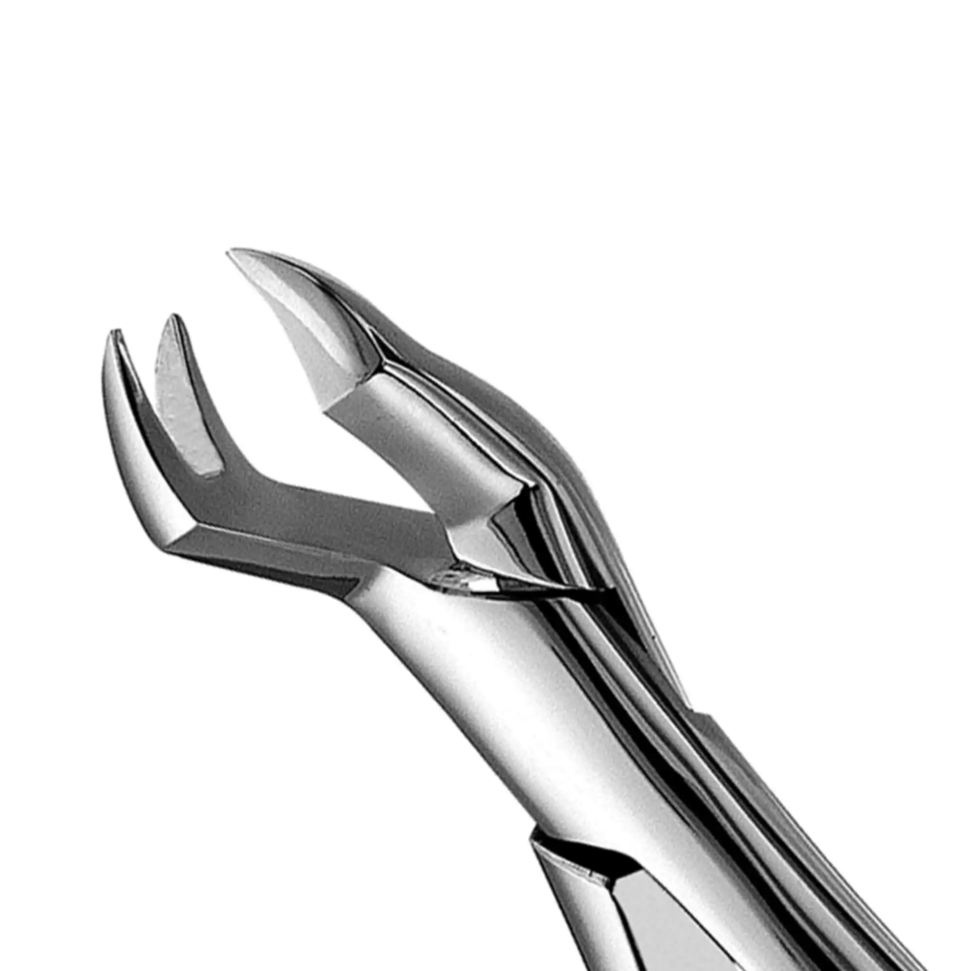 Forceps Dental Forceps Used For Maxillary 3rd Molars Or Wisdom Tooth