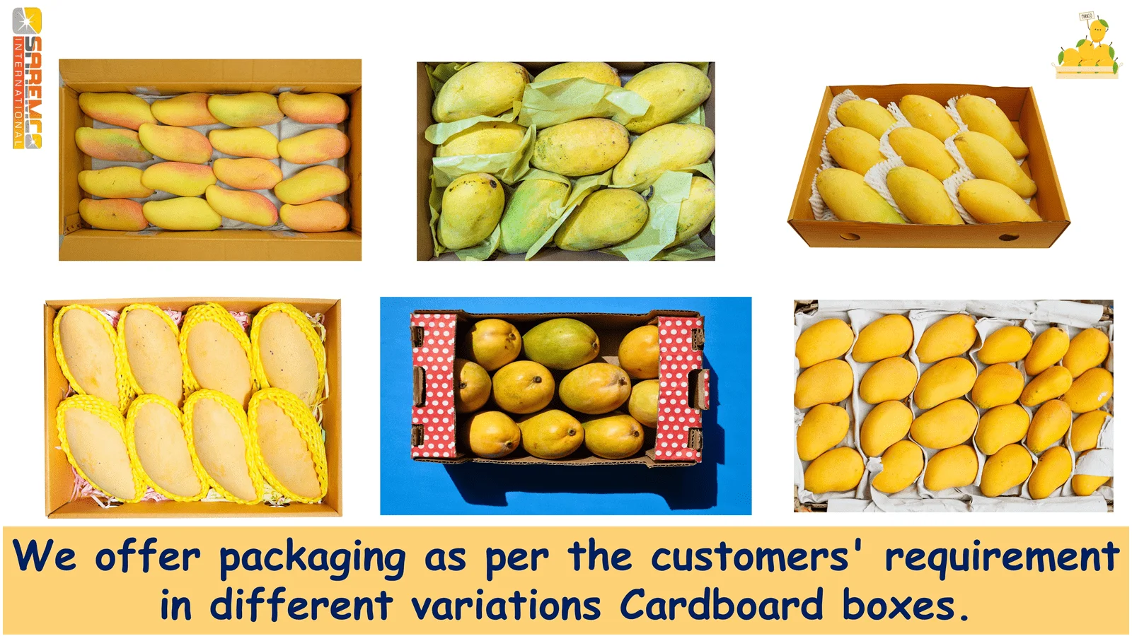 Mango Fresco De Calidad De Exportación De Pakistán,Mangos Paquistaníes