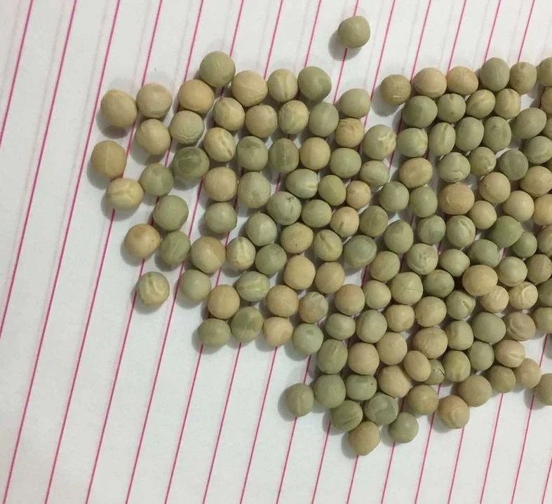 Dried green peas1.jpg