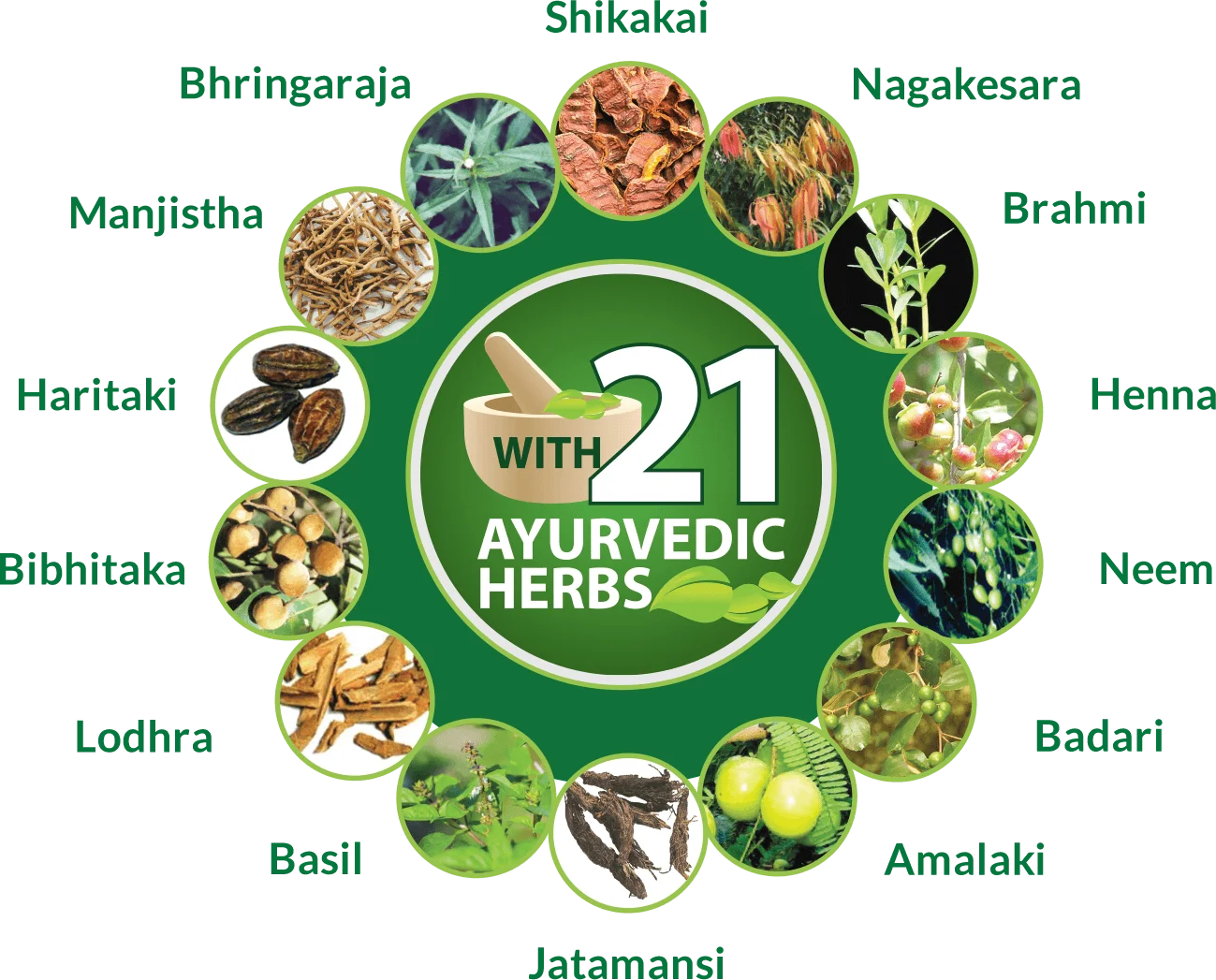 Ayurvedic Hair Oil Ingredients Ubicaciondepersonas cdmx gob mx
