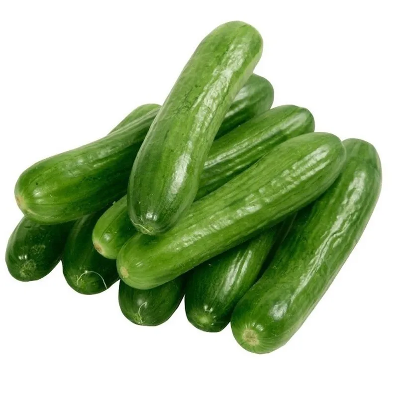 Fresh Cucumber3.jpg