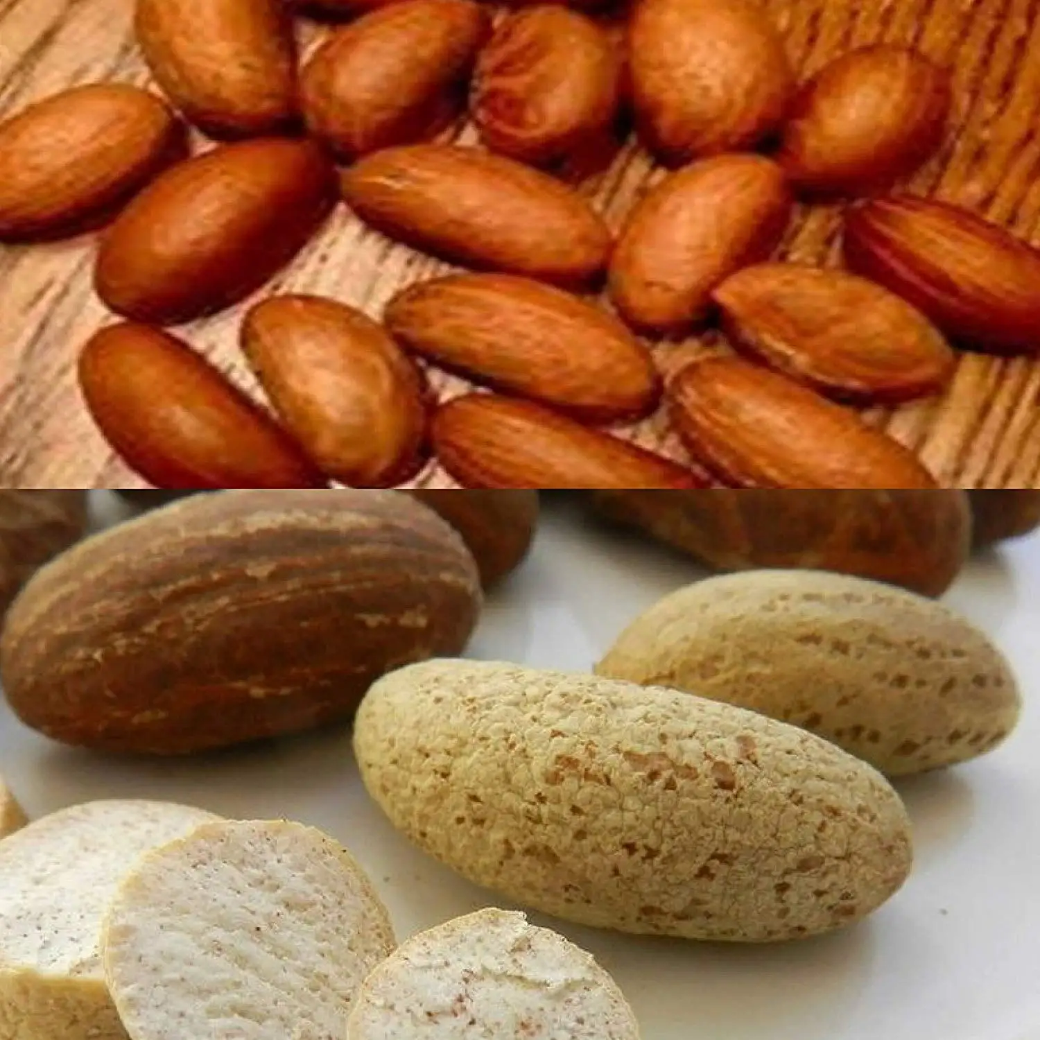 low price natural and pure kola nut low price cola nut from