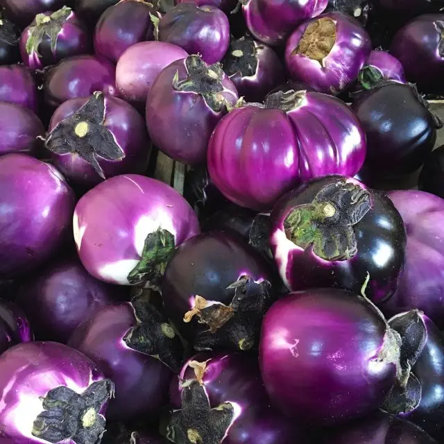 
FRESH EGGPLANT !! 