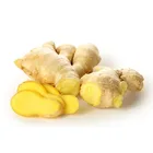 best fresh yellow ginger, black ginger price in China