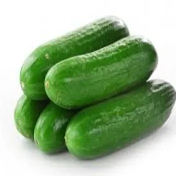 Fresh Cucumber2.jpg