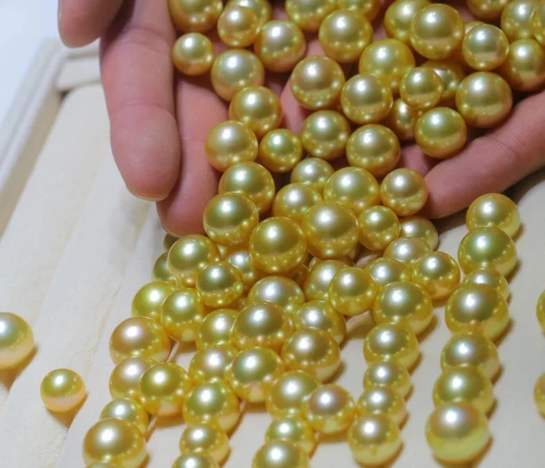 Gold Golden Real Genuine Natural Sea Pearls Golden Gold Golden Real Genuine Natural Sea