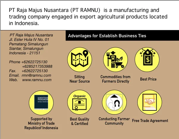 Company Information.png