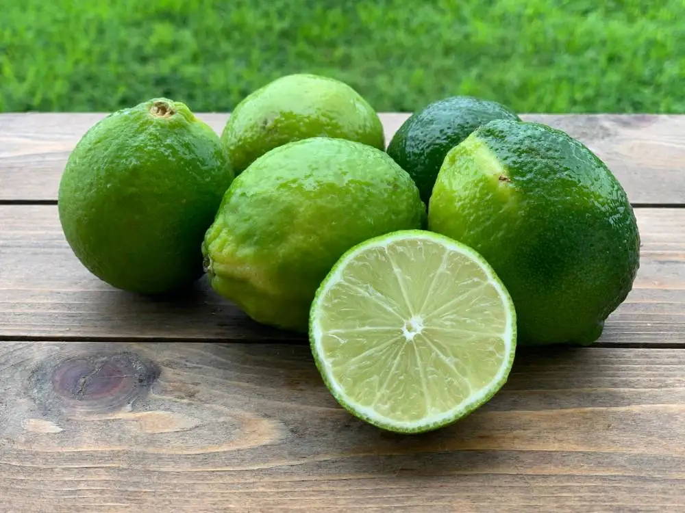 Fresh Seedless Lime 2022,Green Lemon Seedless From Vietnam,Cheap Price