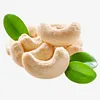 Dried style and raw processing kind CASHEW NUT VIETNAM KERNEL