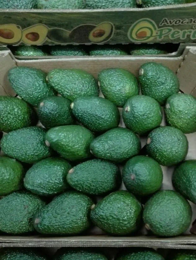 AVOCADO FRESH / Aguacate / PALTA HASS ,Fresh Fruit & Hass Avocados for sale