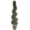 Little order for boxwood ball with pot for sale